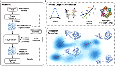 Towards Unraveling Biomolecular Conformational Landscapes with a Generative Foundation Model