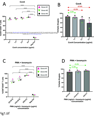 Optimizing canine T cell activation, expansion, and transduction