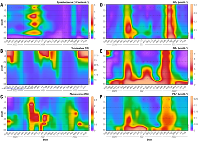 Seasonal patterns in Synechococcus pigment diversity at two temperate sites with contrasting oceanic regimes