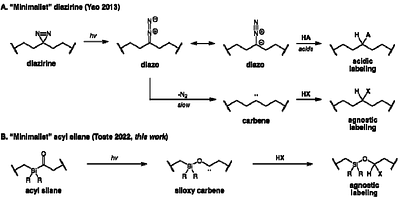 Development of Second-Generation Acyl Silane Photoaffinity Probes for Cellular Chemoproteomic Profiling