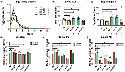 Exercise Related microRNAs in  C. elegans  Regulate Calcium Homeostasis and Mitochondrial Dynamics: Conserved pathways, Divergent mircoRNAs