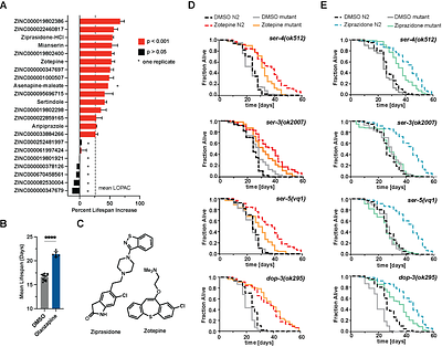 Multiple Targets, One Goal: Compounding life-extending effects through Polypharmacology