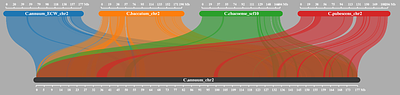 Three novel genomes broaden the wild side of the Capsicum pangenome