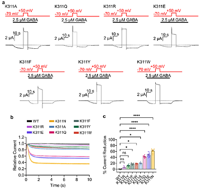 PI(4,5)P2-dependence of GABAA receptor channel function revealed by optogenetic manipulation of a binding site