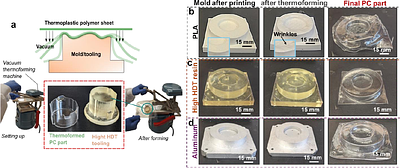 Rapid thermoforming of polycarbonate cell culture accessories from 3D printed molds