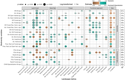 Energy and heterogeneity shape bird taxonomic and functional gamma-diversity patterns across landscapes in Finland