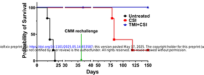Targeted Irradiation and STAT3 Inhibition Reprogram the AML Microenvironment and Extend Survival: Toward Translational Immunoradiotherapy