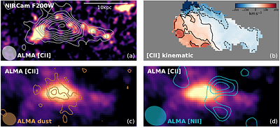 An extreme ram-pressure stripping event in a protocluster at redshift 4.3