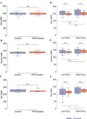 Testing the gearbox hypothesis for insect flight control