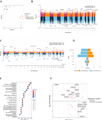Impact of dupilumab and upadacitinib treatment on epigenetic and transcriptomic alterations in skin-homing T cells of atopic dermatitis patients