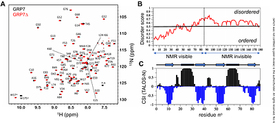 Identification of uranyl-binding proteins in Arabidopsis thaliana cells exposed to uranium: Insights from a metalloproteomic analysis and characterization of Glycine-Rich RNA-binding Protein 7 (GRP7)