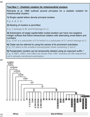 mtDNA "Nomenclutter" and its Consequences on the Interpretation of Genetic Data