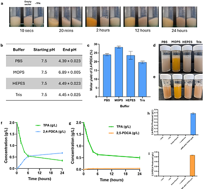 Carbon-negative biosynthesis of pyrone and pyridine dicarboxylic acids from terephthalic acid via continuous mixotrophic gas fermentation in Cupriavidus necator H16