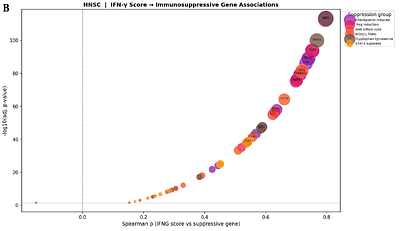 IFN-γ Orchestrates Coordinated Immunosuppression in Head and Neck Squamous Cell Carcinoma Through JAK-STAT-IRF8 Signaling: A Transcriptome-Wide Computational Analysis