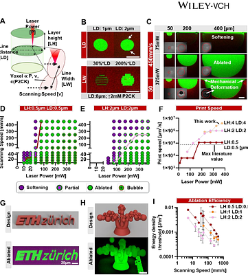 Complementary multiphoton tools to create 3D architectures in soft hydrogels for epithelial tissue engineering.