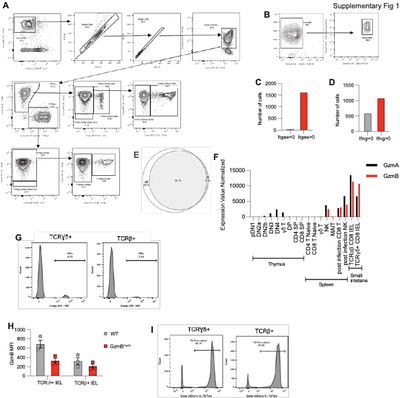 Intraepithelial lymphocytes exhibit selective immunity to intestinal pathogens