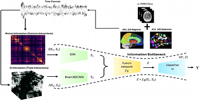 MvHo-IB: Multi-View Higher-Order Information Bottleneck for Brain
  Disorder Diagnosis