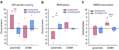 Memory transfer unfolds through rapid shifts in memory stability states during sleep in humans