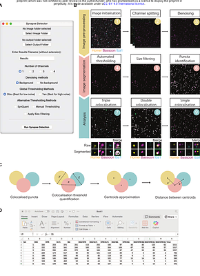 SynThIA: A semi-automated tool for quantification of multi-partite synapses