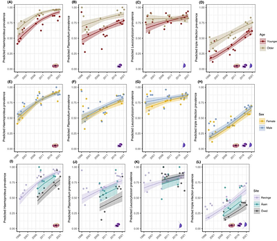 Spatiotemporal and demographic effects on avian malaria prevalence in blue tits