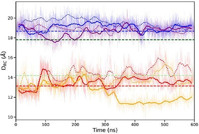 NOX transmembrane electron transfer is governed by a subtly balanced, self-adjusting charge distribution