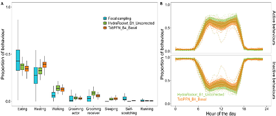 Classifier architecture and data preprocessing jointly shape accelerometer-based behavioural inference