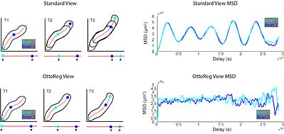 Sol-gel Transition Drives Hyper-fast Mixing in a Giant Cell