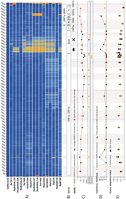 Three phylogenetic metrics are compatible with natural evolution of the earliest SARS-CoV-2 sequence