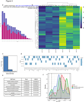 Fine-tuning m6A and METTL3 levels have profound impact on cellular proliferation and protein synthesis