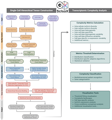 ScIsoX: A Multidimensional Framework for Measuring Transcriptomic Complexity in Single-Cell Long-Read Sequencing Data