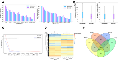 Reprogramming of 3D chromatin domains by antagonizing the β-catenin/CBP interaction attenuates insulin signaling in pancreatic cancer