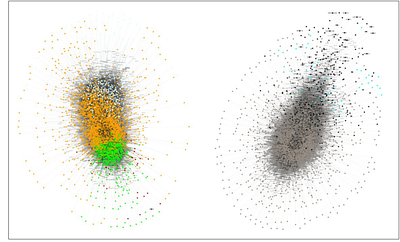 Gene Expression Landscapes Driving Early Life Stages of the Keystone Seagrass Posidonia oceanica