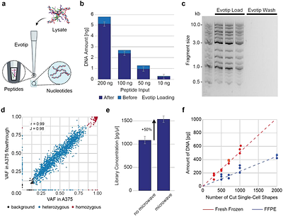 Cell-type-resolved spatial proteogenomics from matched genome and proteome of the same cells