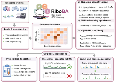 RiboBA: a bias-aware probabilistic framework for robust ORF identification across diverse ribosome profiling protocols