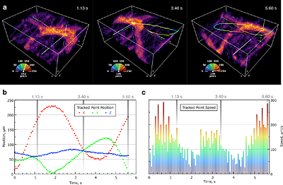 Diffractive scanning live volumetric two-photon microscopy within the contracting mouse intestine