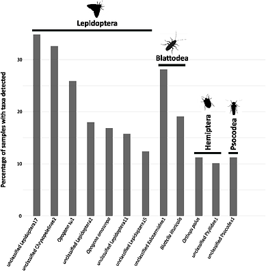 Urban bats change the menu: dietary plasticity across human-modified landscapes of a tropical island