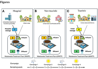 Impacts of wastewater treatment and the exposome on antibiotic resistance gene dynamics: Insights from Guadeloupe, a French Caribbean Island