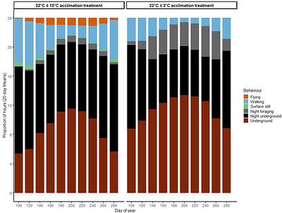 Acclimation to thermal variability increases the intensity of activity and alters the activity window in the temperate dung beetle Onthophagus taurus