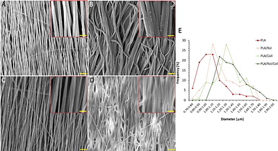 Engineered collagen-coated scaffolds for tendon regeneration: a multifunctional drug delivery approach