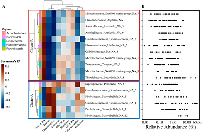 Seasonal and developmental stage changes in exudate carbohydrate content shape the kelp microbiome