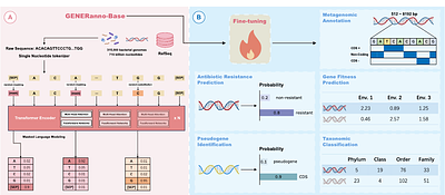 GENERanno: A Genomic Foundation Model for Metagenomic Annotation