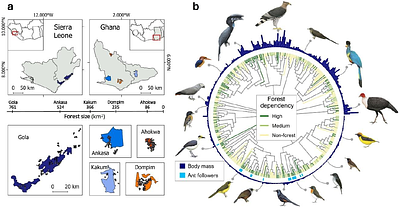 Shifting baselines increase the risk of misinterpreting biodiversity trends