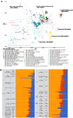 Genetic affinities between an ancient Greek colony and its metropolis: the case of Amvrakia in western Greece