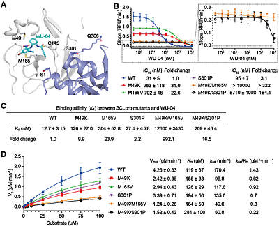 Resistance mechanisms of SARS-CoV-2 3CLpro to the non-covalent inhibitor WU-04