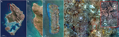 Larval seedboxes: a modular and effective tool for scaling coral reef restoration