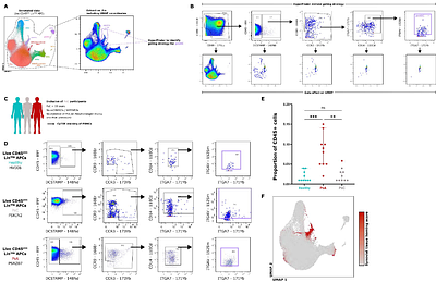 Circulating pre-osteoclasts are primed for osteoclast fate and synovial tissue homing in psoriatic arthritis.