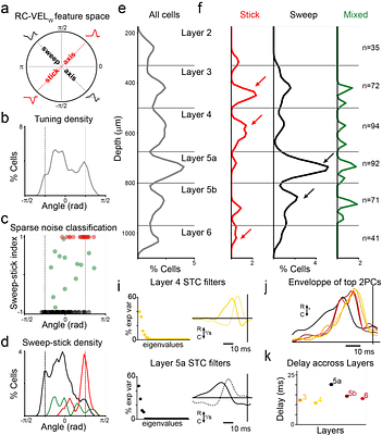 A cortical code emerges in Layer5a of S1 through temporal integration of thalamic inputs