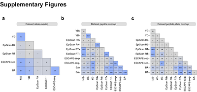 PepCL: A replay-based continual learning framework for updating peptide-MHC models