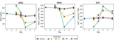 Phytoplankton size structure and biogeochemical responses to nutrient enrichment in an oligotrophic coral reef
