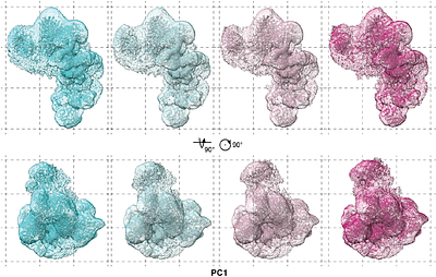 CryoSTAR: Leveraging Structural Prior and Constraints for Cryo-EM Heterogeneous Reconstruction